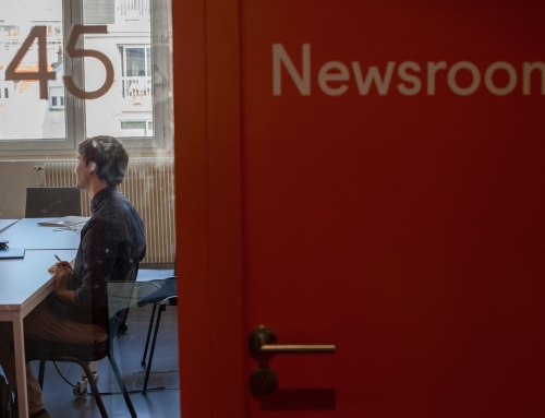 L’insertion professionnelle